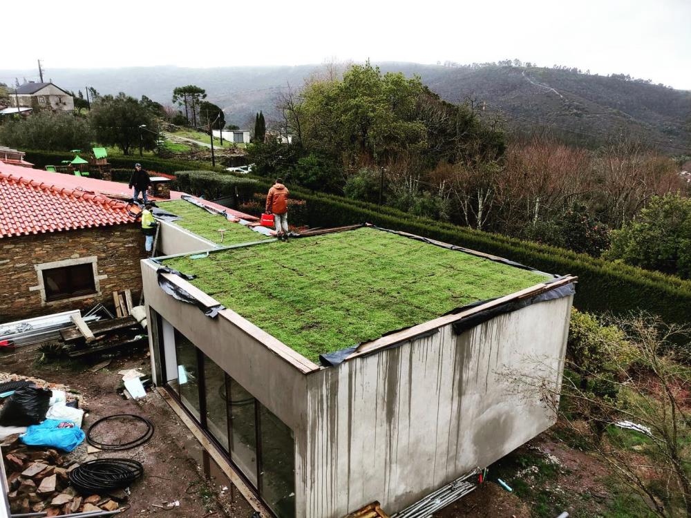 Green Roof